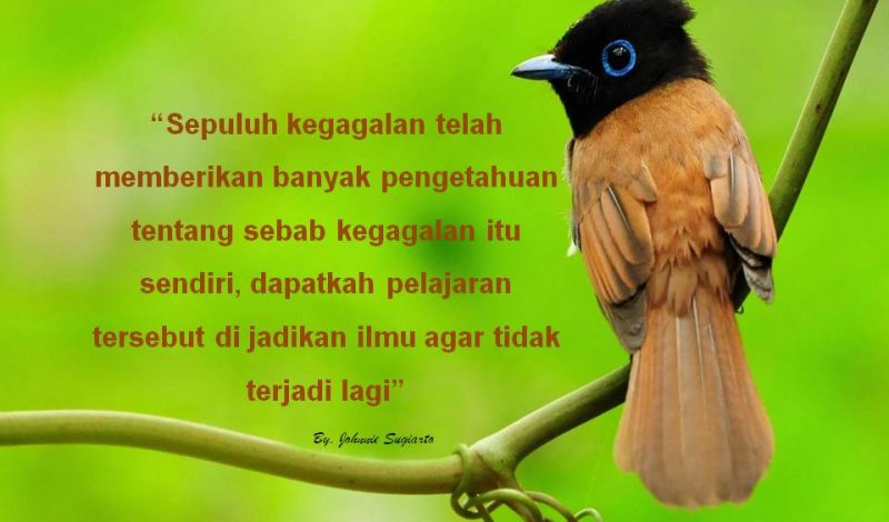 Quotes of The Day